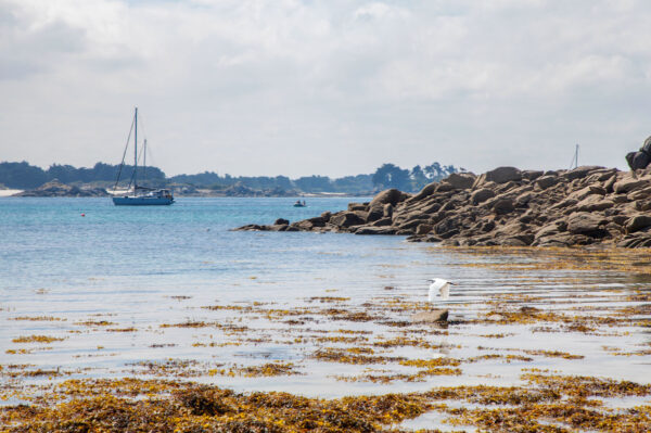Bretagne – Bild 6